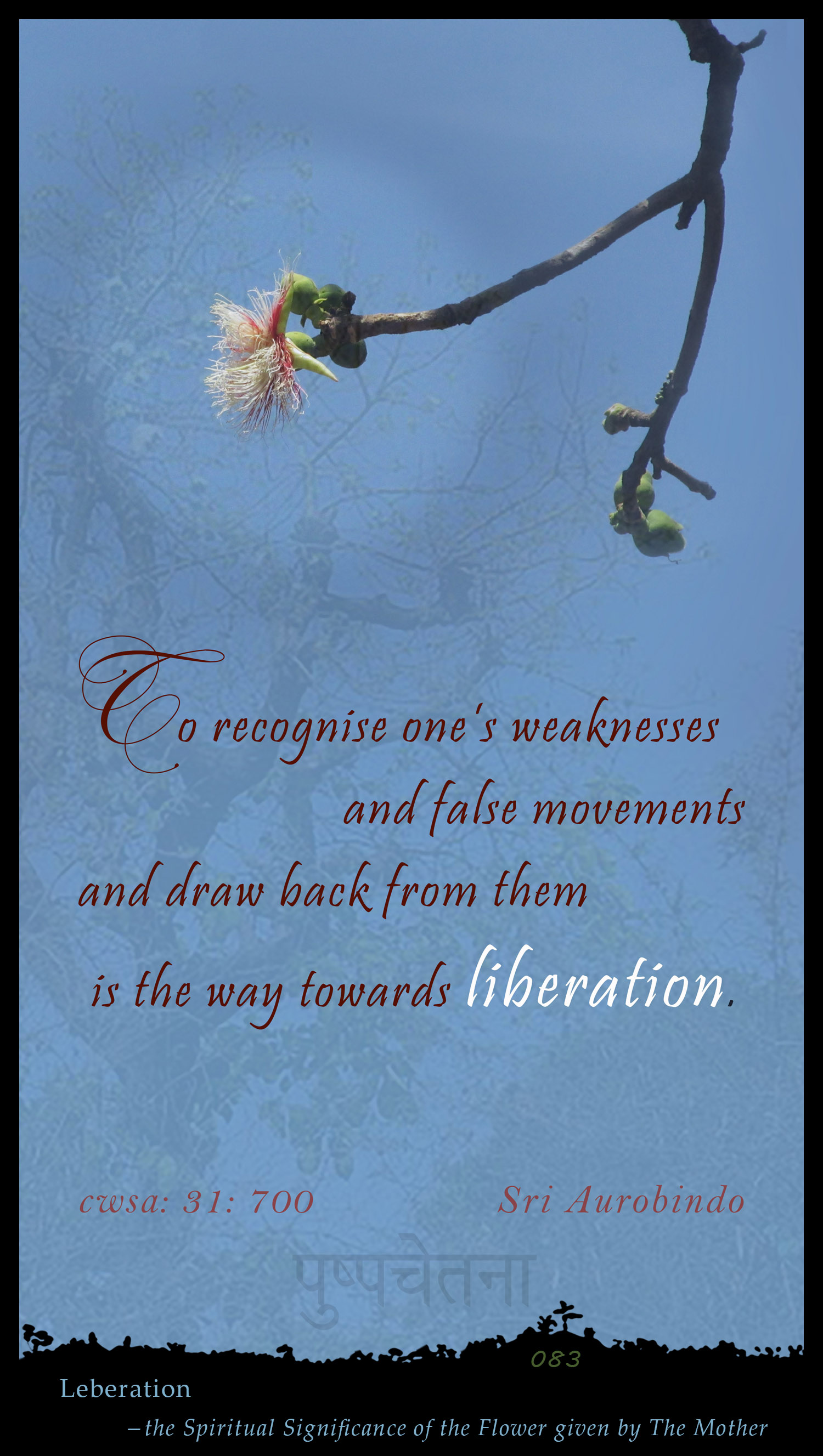 Liberation